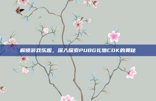 解锁游戏乐趣,深入探索PUBG礼物CDK的奥秘