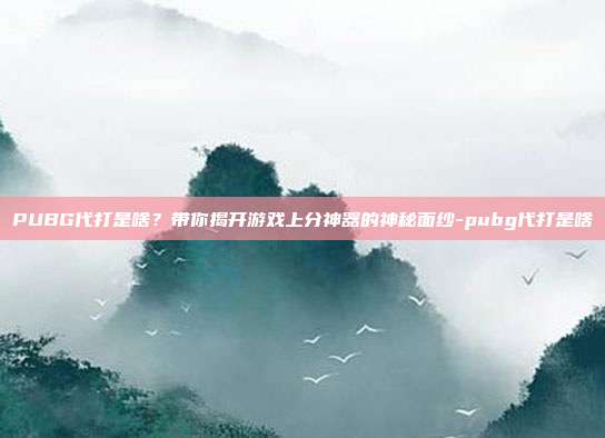 PUBG代打是啥?带你揭开游戏上分神器的神秘面纱-pubg代打是啥