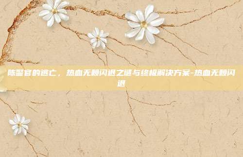 陈警官的逃亡,热血无赖闪退之谜与终极解决方案-热血无赖闪退