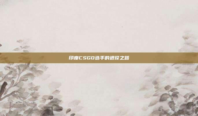 印度CSGO选手的退役之路
