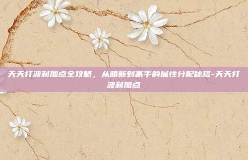 天天打波利加点全攻略,从萌新到高手的属性分配秘籍-天天打波利加点