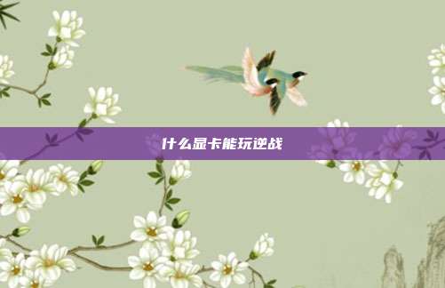 什么显卡能玩逆战