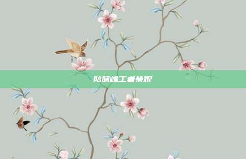 陪晓峰王者荣耀