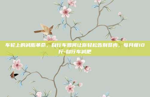 车轮上的减脂革命，自行车如何让你轻松告别赘肉，每月瘦10斤-自行车减肥