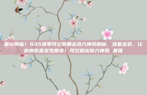 雷帝降临！S35赛季司空震暴击流六神装解析，这套出装，让你的伤害发生质变！司空震出装六神装 最强