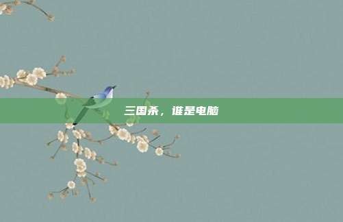 三国杀，谁是电脑