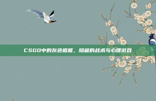 CSGO中的灰色框框，隐藏的战术与心理游戏