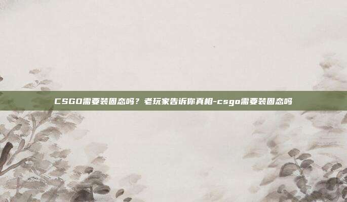 CSGO需要装固态吗？老玩家告诉你真相-csgo需要装固态吗