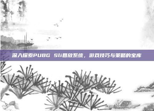 深入探索PUBG Sli回放系统,游戏技巧与策略的宝库