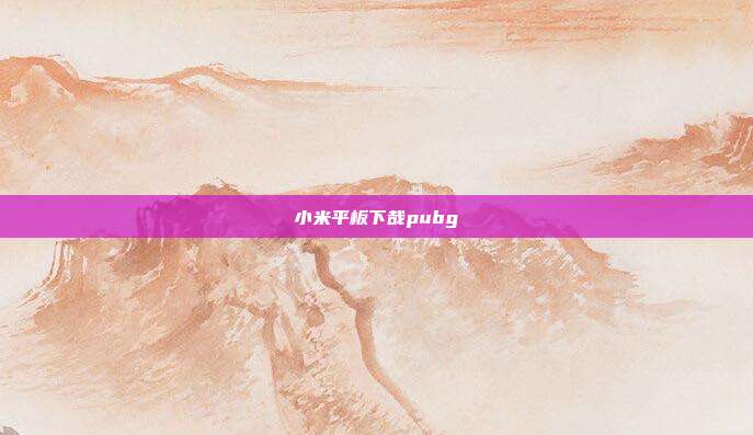 小米平板下哉pubg