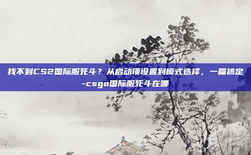 找不到CS2国际服死斗?从启动项设置到模式选择,一篇搞定-csgo国际服死斗在哪