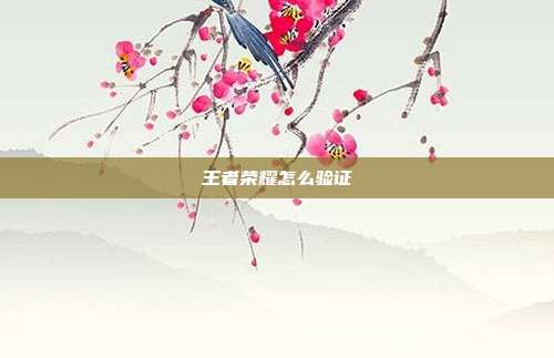 王者荣耀怎么验证