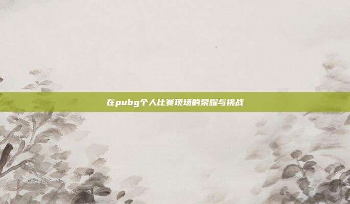 在pubg个人比赛现场的荣耀与挑战