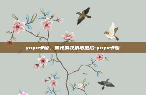 yoyo卡箱，时光的收纳与重启-yoyo卡箱