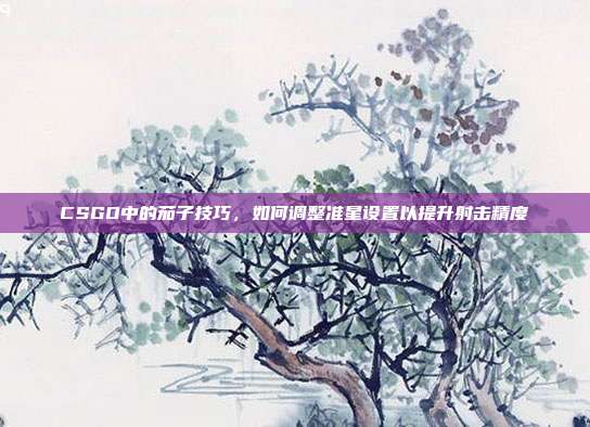 CSGO中的茄子技巧,如何调整准星设置以提升射击精度