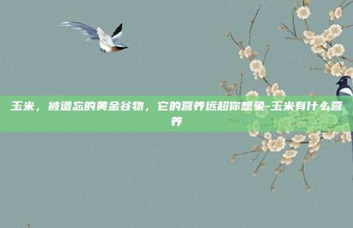 玉米,被遗忘的黄金谷物,它的营养远超你想象-玉米有什么营养
