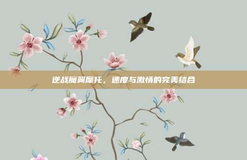 逆战魔翼摩托，速度与激情的完美结合