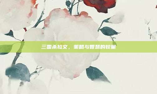 三国杀拉文,策略与智慧的较量