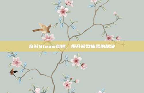 奇游Steam加速,提升游戏体验的秘诀