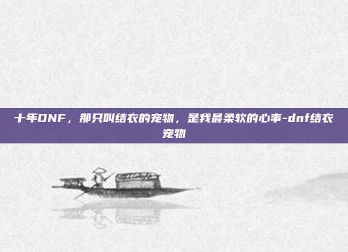 十年DNF,那只叫结衣的宠物,是我最柔软的心事-dnf结衣宠物