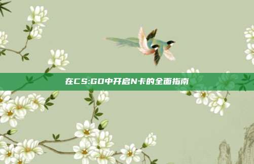 在CS:GO中开启N卡的全面指南