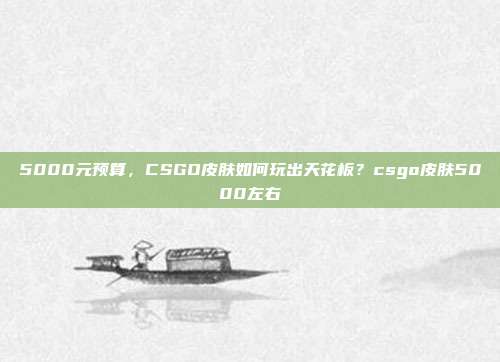 5000元预算，CSGO皮肤如何玩出天花板？csgo皮肤5000左右