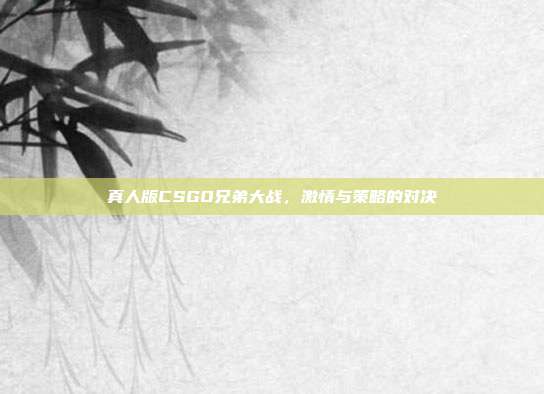 真人版CSGO兄弟大战，激情与策略的对决