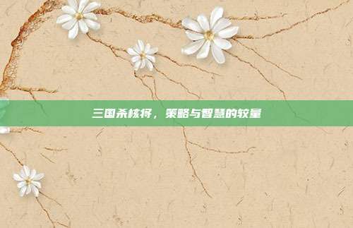 三国杀核将,策略与智慧的较量