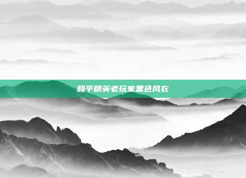 和平精英老玩家黑色风衣