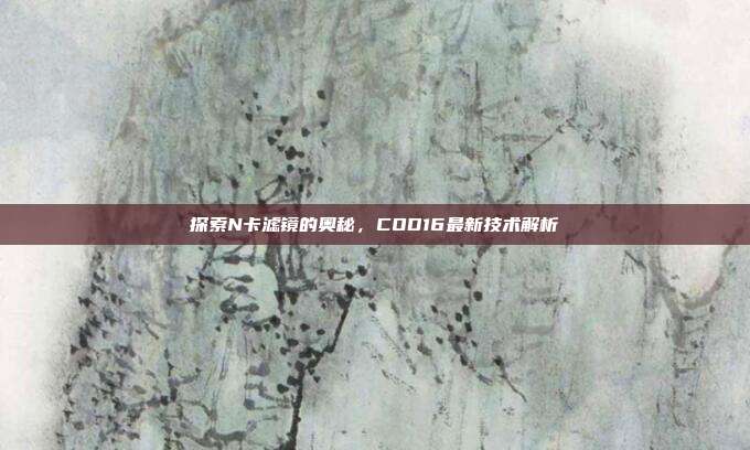 探索N卡滤镜的奥秘，COD16最新技术解析