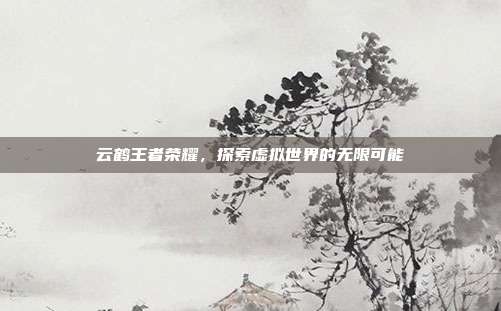 云鹤王者荣耀，探索虚拟世界的无限可能