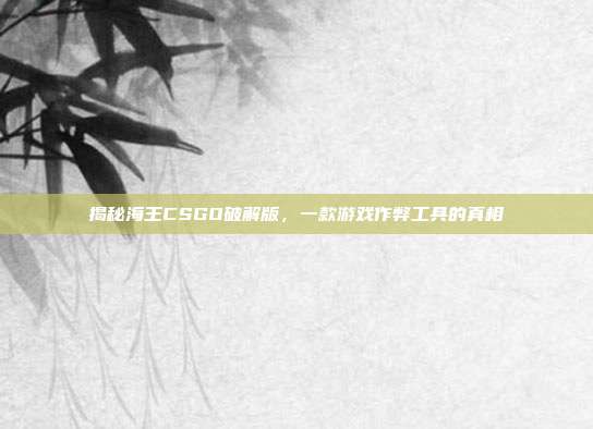 揭秘海王CSGO破解版，一款游戏作弊工具的真相