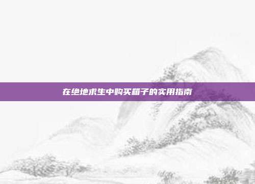 在绝地求生中购买箱子的实用指南