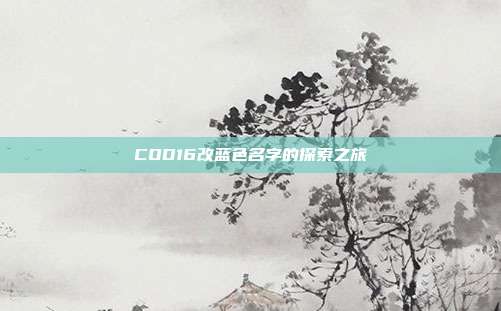 COD16改蓝色名字的探索之旅