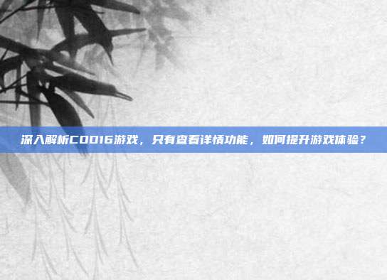 深入解析COD16游戏,只有查看详情功能,如何提升游戏体验?
