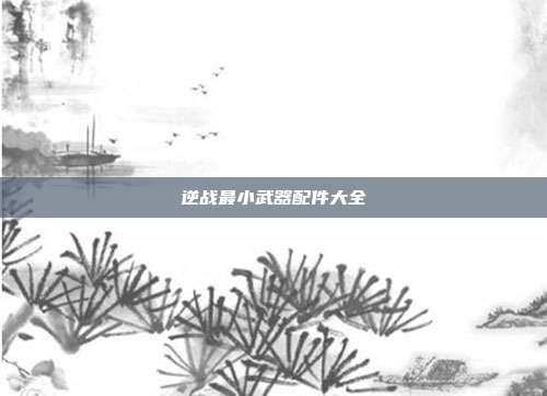 逆战最小武器配件大全