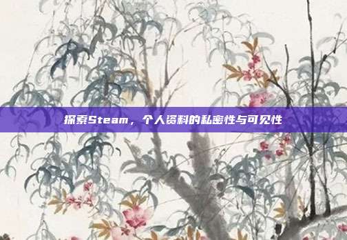 探索Steam，个人资料的私密性与可见性