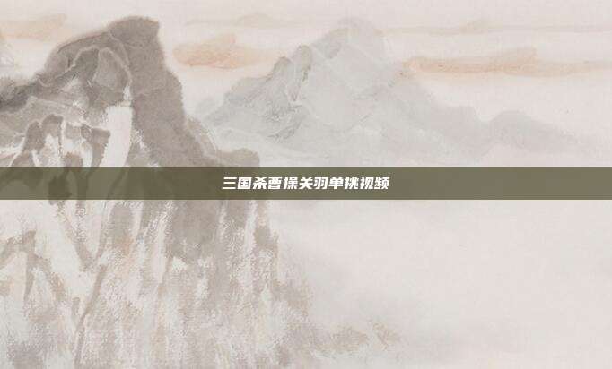 三国杀曹操关羽单挑视频