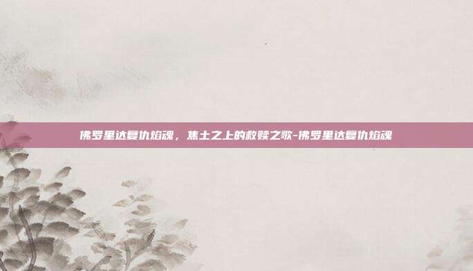 佛罗里达复仇焰魂，焦土之上的救赎之歌-佛罗里达复仇焰魂