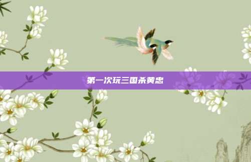 第一次玩三国杀黄忠