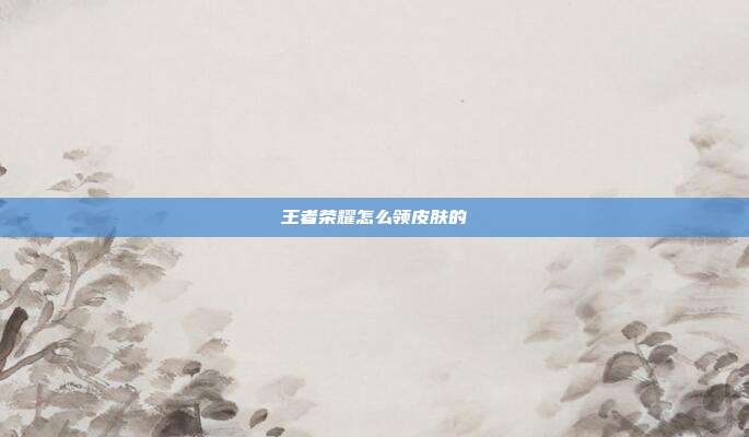 王者荣耀怎么领皮肤的