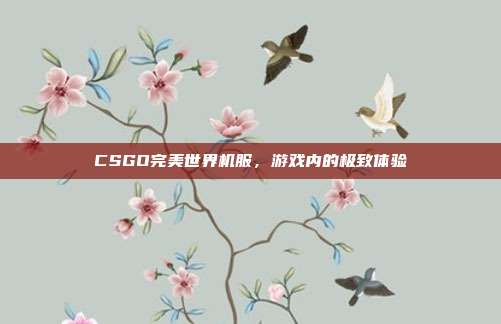 CSGO完美世界机服，游戏内的极致体验