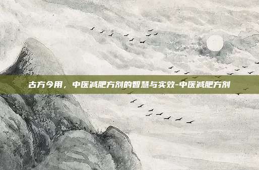 古方今用，中医减肥方剂的智慧与实效-中医减肥方剂
