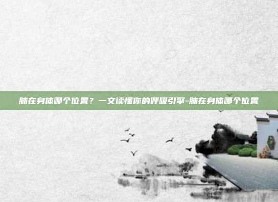 肺在身体哪个位置？一文读懂你的呼吸引擎-肺在身体哪个位置