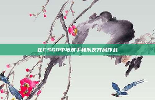 在CSGO中与对手和队友并肩作战
