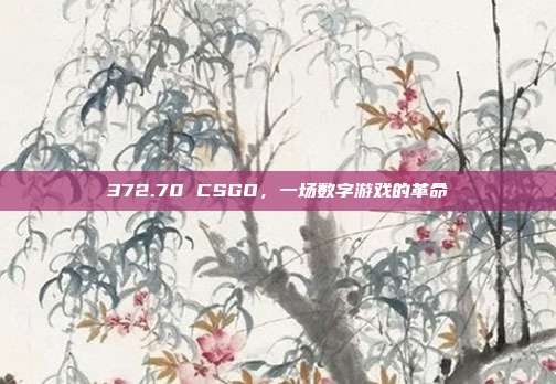 372.70 CSGO，一场数字游戏的革命