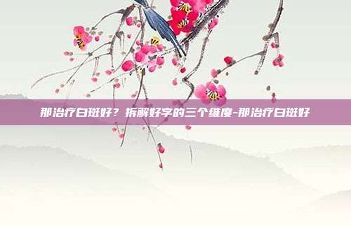 那治疗白斑好？拆解好字的三个维度-那治疗白斑好