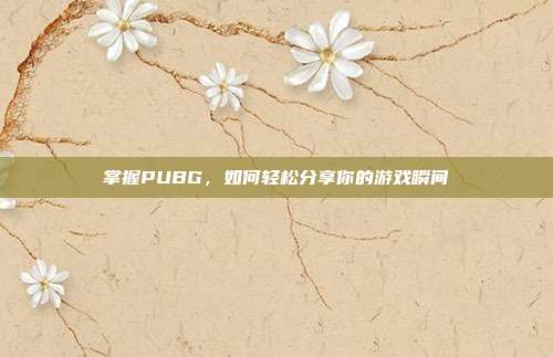 掌握PUBG，如何轻松分享你的游戏瞬间