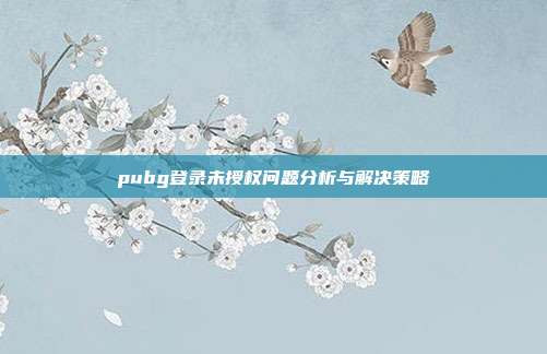 pubg登录未授权问题分析与解决策略