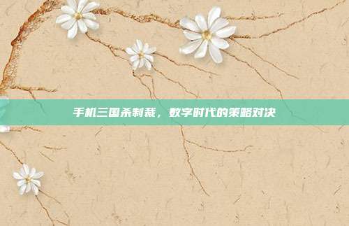 手机三国杀制裁，数字时代的策略对决